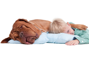 Boy with a dog on the floor